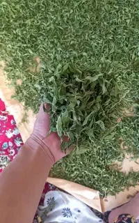 به لیمو خشک