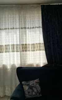 پرده پزیرایی