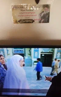 تلوزیون