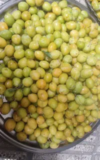 الو گاوی خیلی خوشمزه