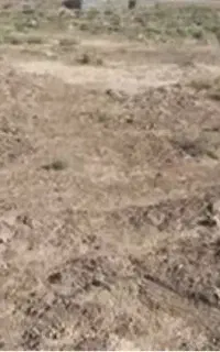 زمین مسکونی