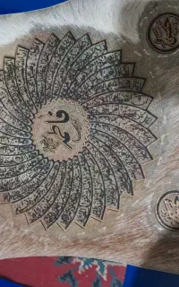 پوست حیوان قدیمی