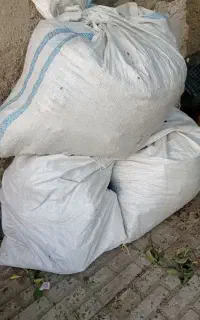 کوده کبوتر