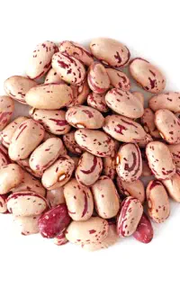 لوبیا چیتی عدس جو برنج لپه حبو بات شمارا آلرام