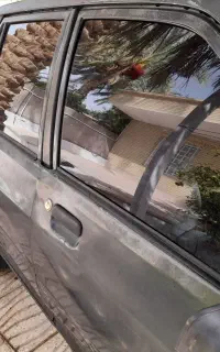 پراید مدل ۸۱ زیرخاکی شاسی پلمپ