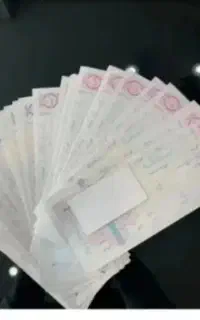 فقط سفته بده