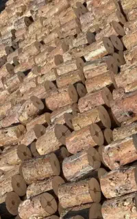 اجاق سوئدی