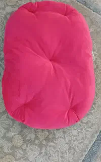 جای خواب سگ و گربه