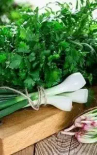 تولید و پخش سبزی سرخ‌شده، پیاز داغ و سبزی آماده