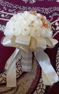 ب عکس