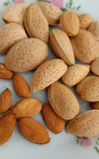 بادام سنگی مغز شیرین و توپر( درجه یک)