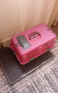 باکس سگ و گربه و جای دستشویی سگ