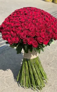 فقط ۴۵ تومان(گل رزهلندی) دسته گل