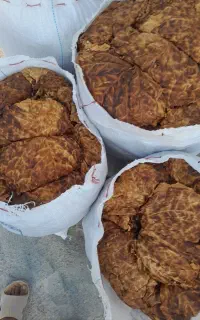برگ بنیاد