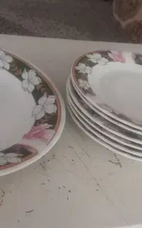 بشقاب میوه خوری
