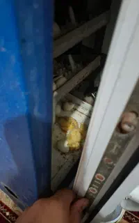دستگاه جوجه کشی 126 عددی
