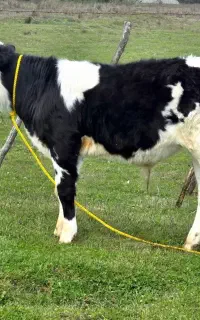 کارگر ساده پاره وقت