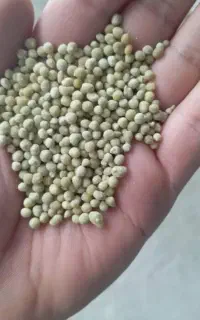 کود دی آمونیوم فسفات رازی