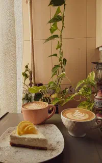 آموزش باریستایی
