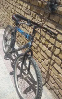 دوچرخه