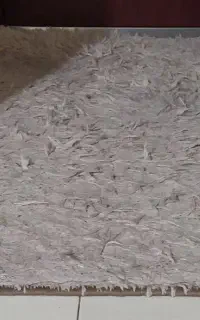 پادری