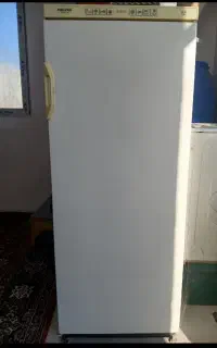 یخچال فریزر فیلور