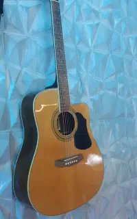 گیتار اکوستیک حرفه ای در حد