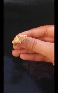 گوشواره پیدا شده