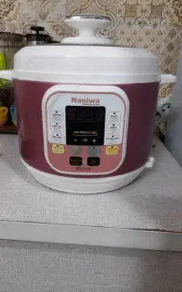 پلو پز چند کاره