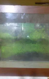 اکوار یوم خم