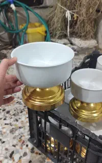 اجیل خوری پایه طلایی
