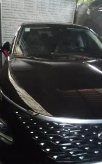 فونیکس FX