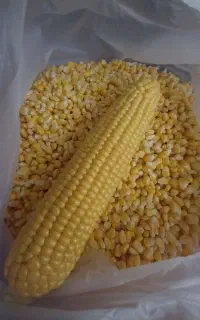 ذرت شیریت