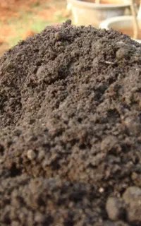 خاک ورمی کمپوست ( قارچ )