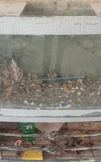 آکواریوم