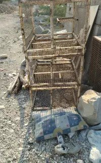 قفس جفتکن سه طبقه معاوضه با پرنده رنگی