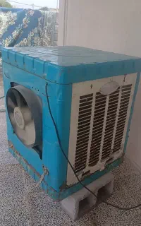 گولرآبی فن دار
