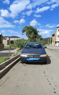 پژو روا 87 دوگانه سوز