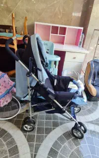 کالسکه برند پیر گاردین