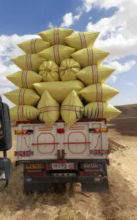خرید فروش کاه و یونجه