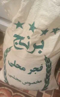 برنج فجر سوزنی