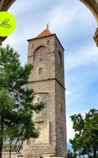 تور ترابزون زمینی