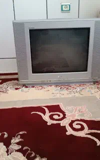تلویزیون