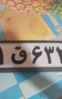 پلاک پیدا شده