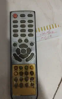 دی وی دی