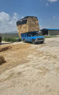 پرس گندم