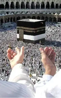 واگذاری فیش حج تمتع ۸۶