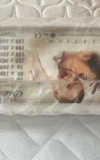 تعدادی تشک