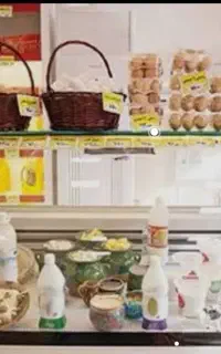 به تعدادی حسابدار وفروشنده وکارگر ساده نیازندیم