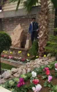 باغبانی گلکاری درختکاری  سمپاشی با نازلترین قیمت